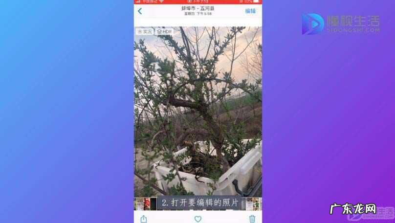 苹果自带放大镜p图? 苹果手机怎么放大图片中的一部分