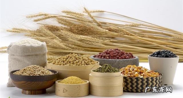 吃哪些东西可以吸走脂肪,有利于减肥?