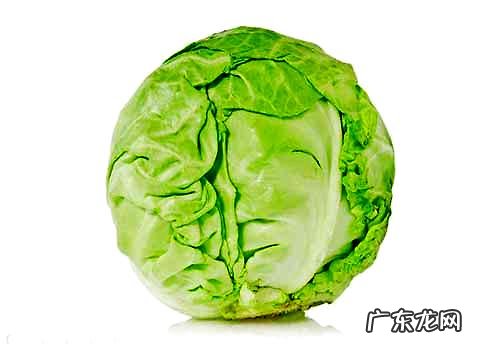 合适小狗吃蔬菜都有哪些,什么蔬菜水果小狗吃着对身体好