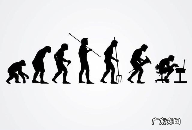 用两年时间告诉你,体重和体型的区别