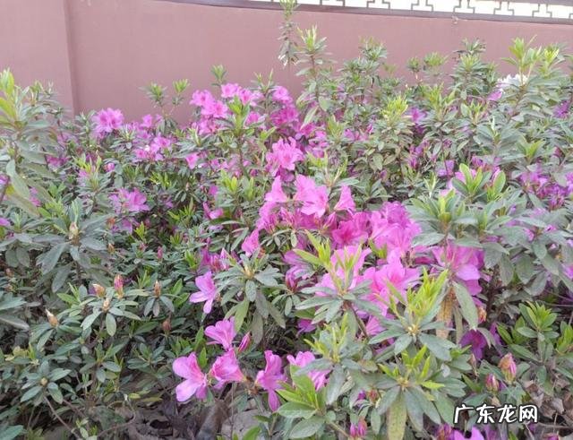 人活一世,是精神重要还是物质重要?