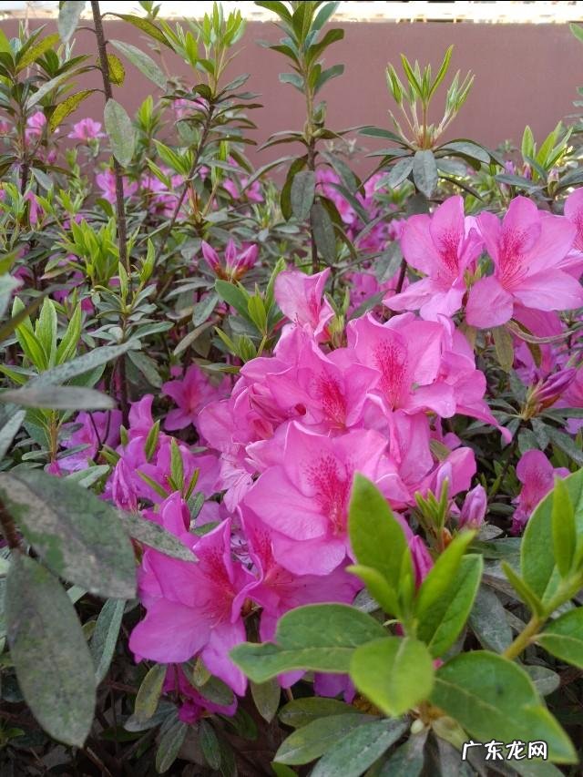 人活一世,是精神重要还是物质重要?