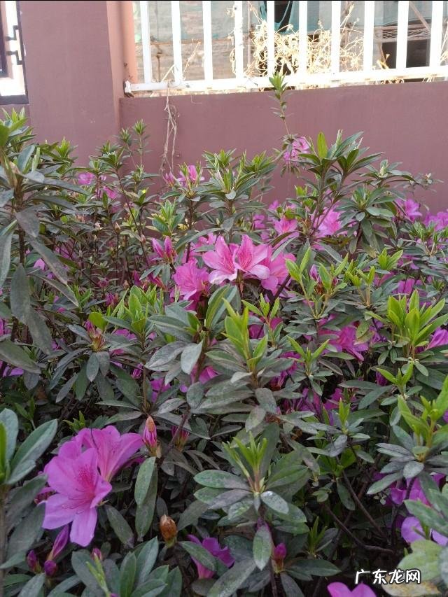 人活一世,是精神重要还是物质重要?