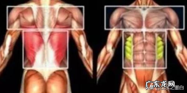 跑步多久才能达到减肥效果,或者怎样才能减掉肚子上的赘肉?