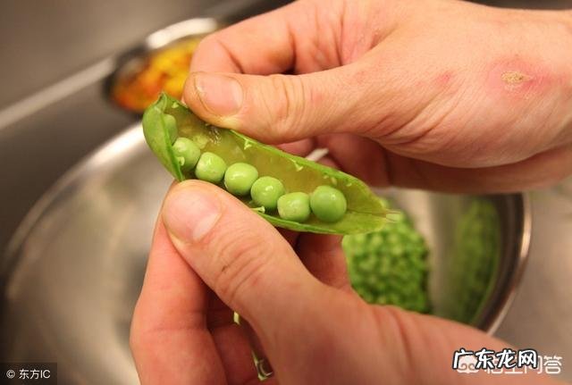 女性如何科学的减肥健身?