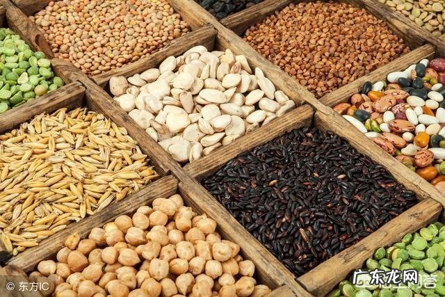 女性如何科学的减肥健身?