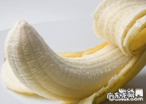 狗狗吃香蕉,小狗能不能吃苹果?