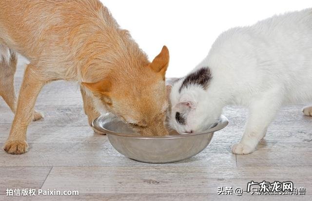 车库门怎么调码k1 k2 k3 k4？