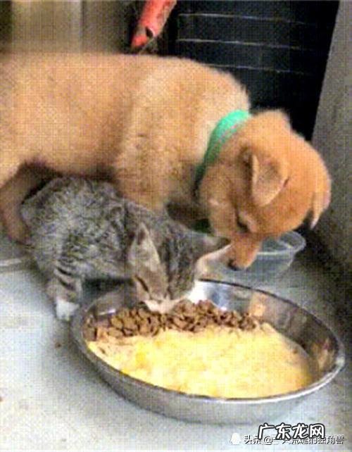 车库门怎么调码k1 k2 k3 k4？