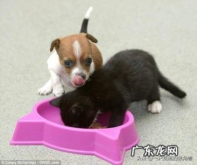 车库门怎么调码k1 k2 k3 k4？