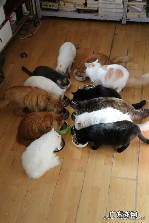 车库门怎么调码k1 k2 k3 k4？