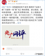 加拿大鹅有点飘