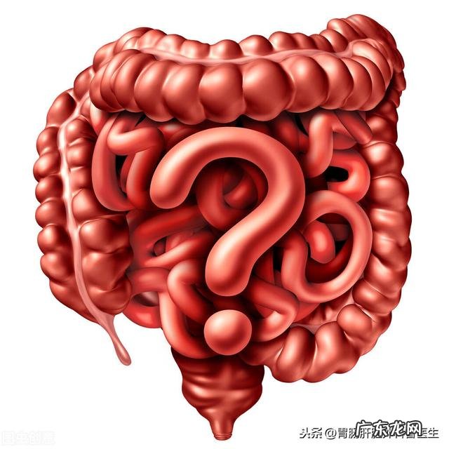 肠鸣,肚胀,总排气是怎么回事?
