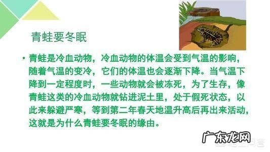 变温动物如何演化为恒温动物？目前认为最原始的恒温动物是什么？