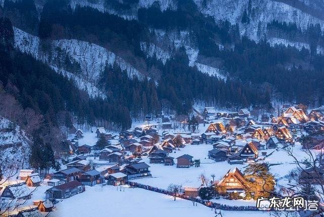 变温动物如何演化为恒温动物？目前认为最原始的恒温动物是什么？