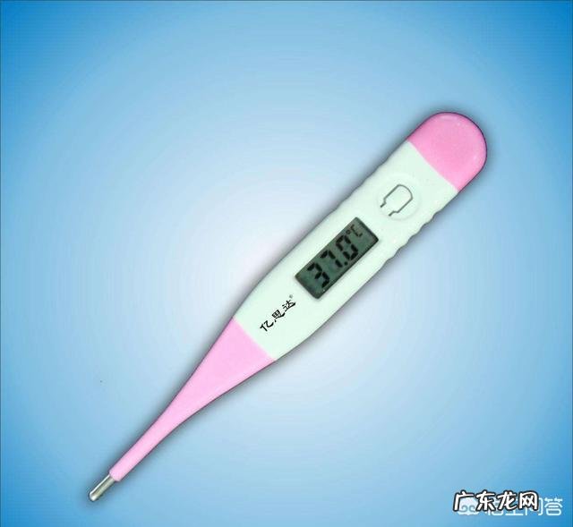 变温动物如何演化为恒温动物？目前认为最原始的恒温动物是什么？