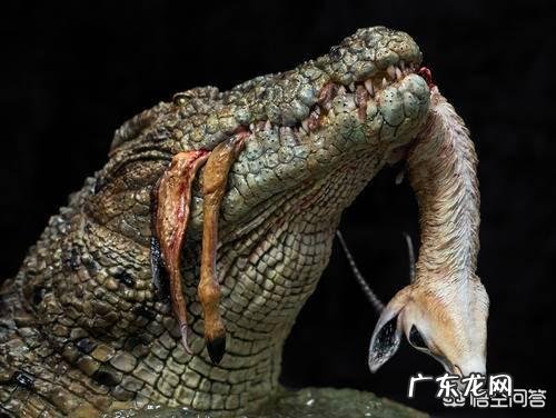 变温动物如何演化为恒温动物？目前认为最原始的恒温动物是什么？