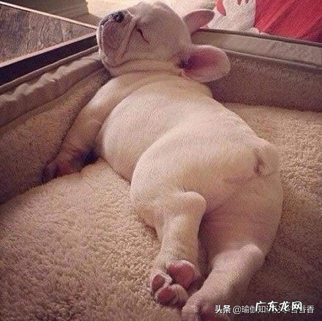 我每年都会坚持跑步几个月，最近200斤了，我该怎么办？