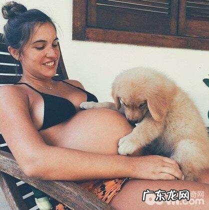 怀孕期能不能养宠物，怀孕期养宠物的常见问题