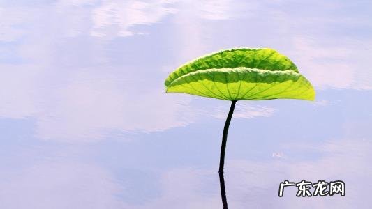 直通车成交会有关键词权重吗 直通车账户权重低关键词怎么出价？有何技巧？直通车关键词出价多少合适