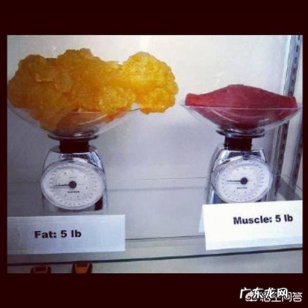 减肥要什么方法才减肥 减肥容易吗？减肥需要注意什么？