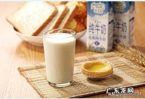 早上跑完步喝什么牛奶补充蛋白质最好?