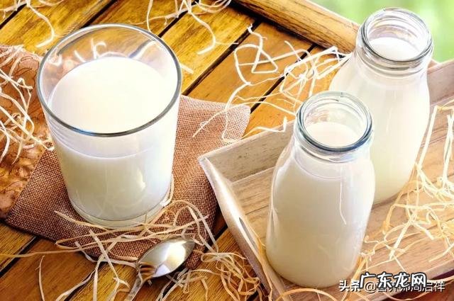 早上跑完步喝什么牛奶补充蛋白质最好?