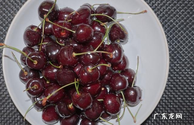 孕妇能吃水果么 孕妇可以吃水果吗如何吃