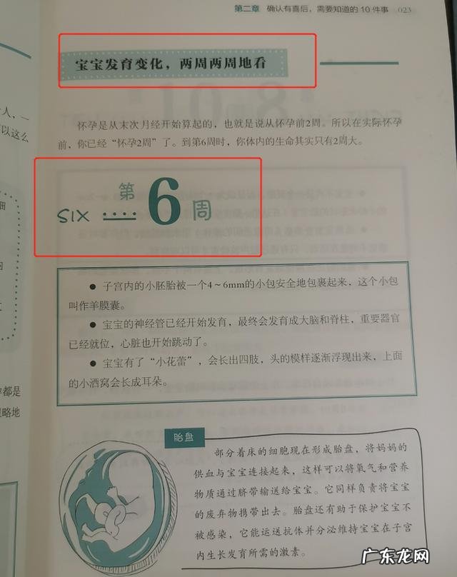 孕期运动要注意些什么-孕妇做运动的注意事项