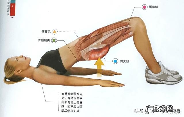 怎么样才能瘦臀部和大腿后面?