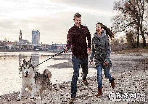 遛猫遛狗前必须提前准备的物件都有哪些?