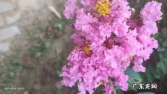 怎样才能把视频拍摄得美？