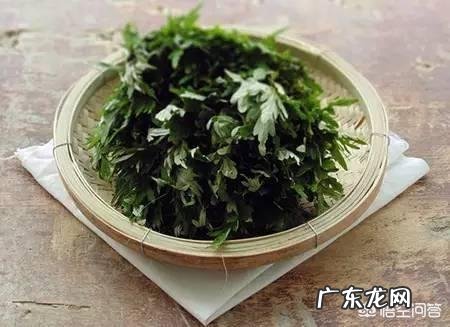 用什么方便可以祛除体内的湿气?