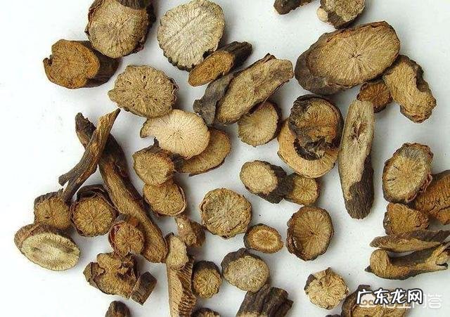 用什么方便可以祛除体内的湿气?