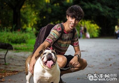 达标的小宠物主应当具有什么标准？