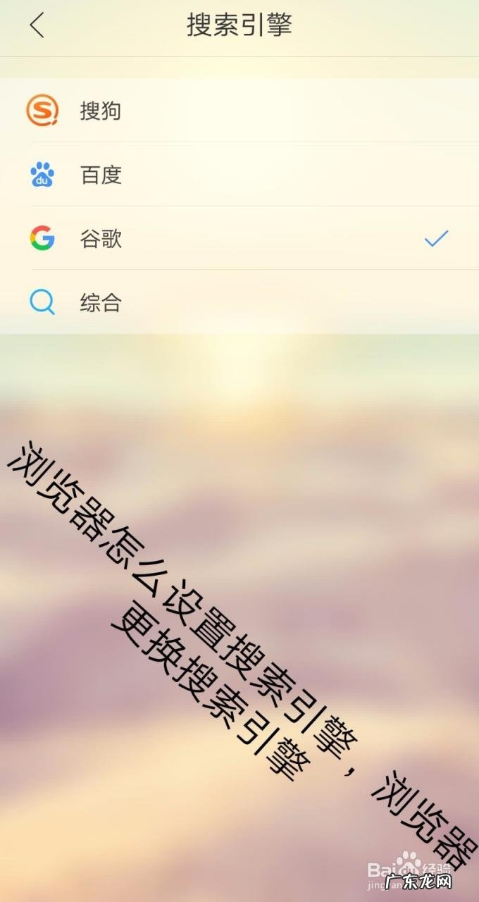删除GoogleChorme搜索引擎列表中的搜索引擎,google installer?