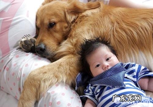 爱人爱养宠物而我不太喜欢应该怎么办?