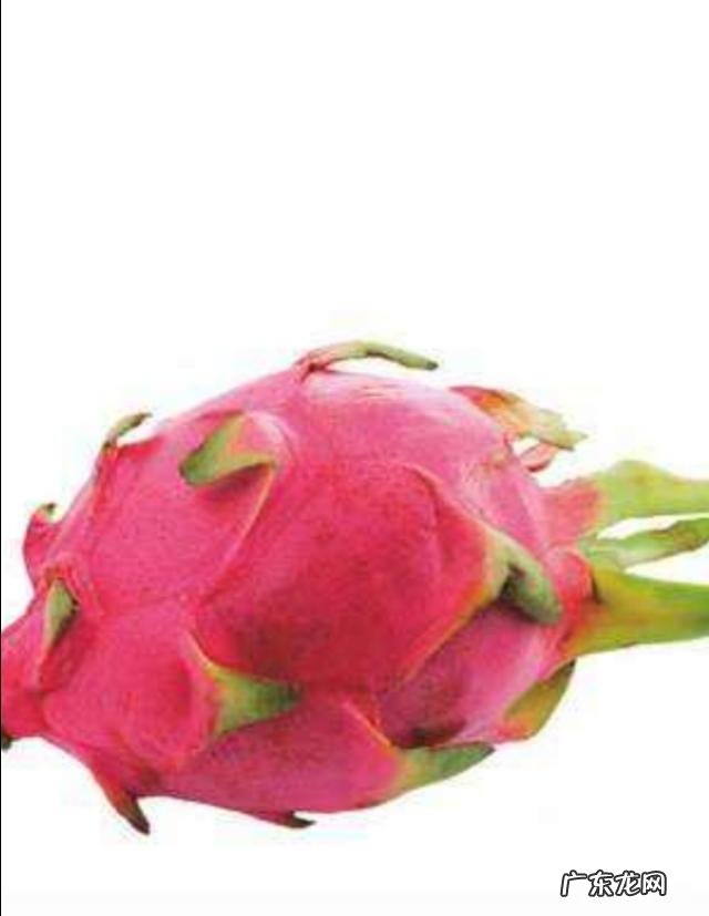 哪些果汁能辅助减肥帮助排毒？