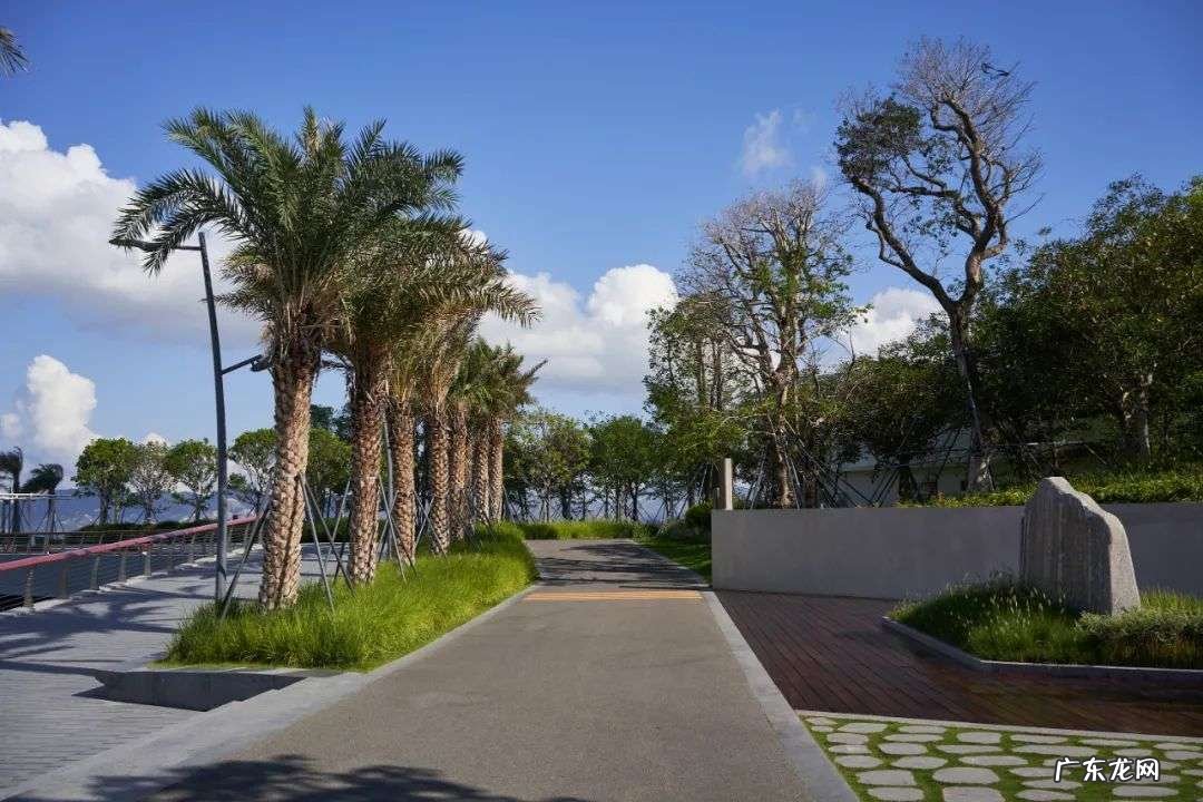 中国公园最多的一线城市,谁说它内卷?| 城事