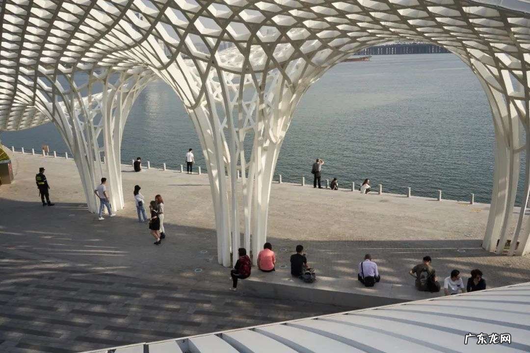 中国公园最多的一线城市，谁说它内卷？| 城事