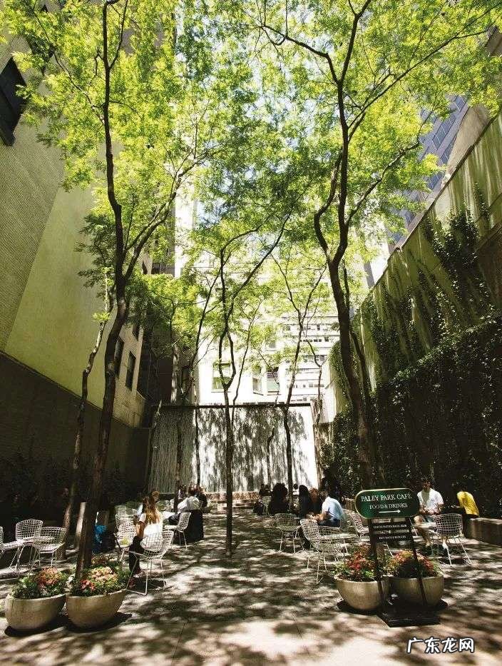 中国公园最多的一线城市,谁说它内卷?| 城事