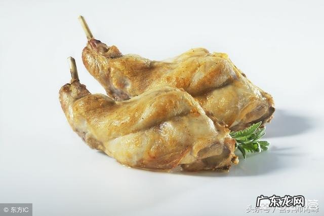 减肥期间吃鱼肉好还是吃兔腿肉好?有哪些需要注意的问题?