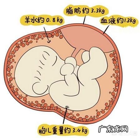 孕6月，每个星期长两斤肉，是不是太快了？