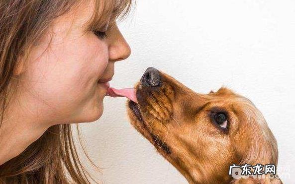 小狗为何喜欢舔人？狗狗舔人的缘故有什么