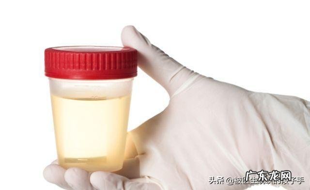 小便透明黄色怎么办 小便颜色怎么是黄色的?怎么才能变透明?