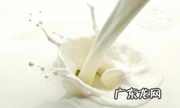 幼狗能够喝纯牛奶吗？幼狗喝牛奶拉肚子的缘故