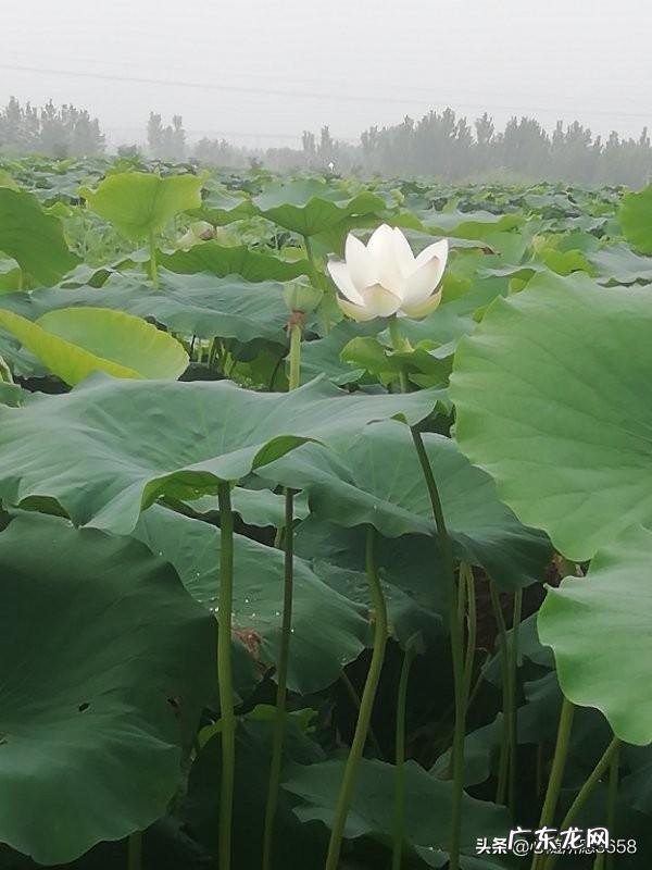 每天骑行30公里怎么样 每天骑行50公里,常年坚持,是怎样一种体验?