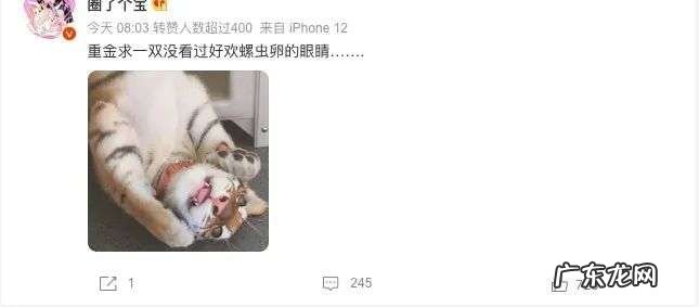 爆雷的螺蛳粉,不止好欢螺