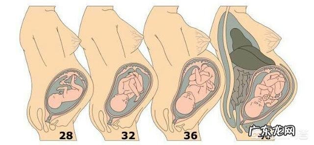 孕晚期一天长一斤怎么办？