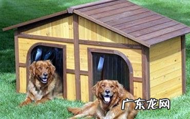 史上最牛简易自制狗窝的方式